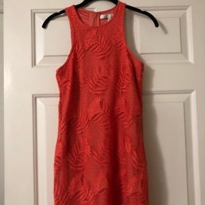 Revolve dress w/ lace overlay and cute hem detail